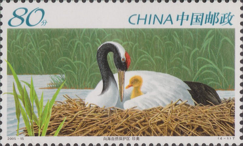 Red-crowned Crane (Grus japonensis)