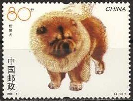 Chow-Chow