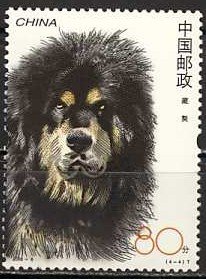 Tibetan Mastiff
