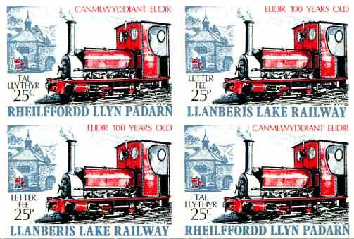 Centenary of Locomotive Elidir