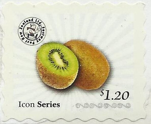 Icon Series. Kiwis