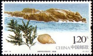 Longchuanjiao