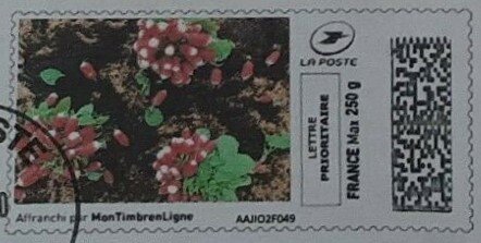 Radishes