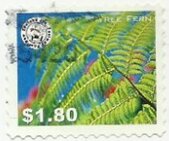 Tree Fern
