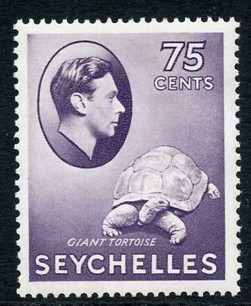 Aldabra Giant Tortoise (Aldabrachelys gigantea)