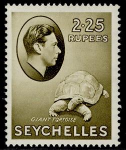 Stamp, Aldabra Giant Tortoise (Aldabrachelys gigantea), Seychelles,  
