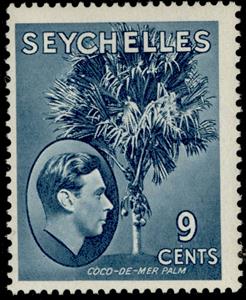 Stamp, Coco de Mer Palm, Seychelles,  