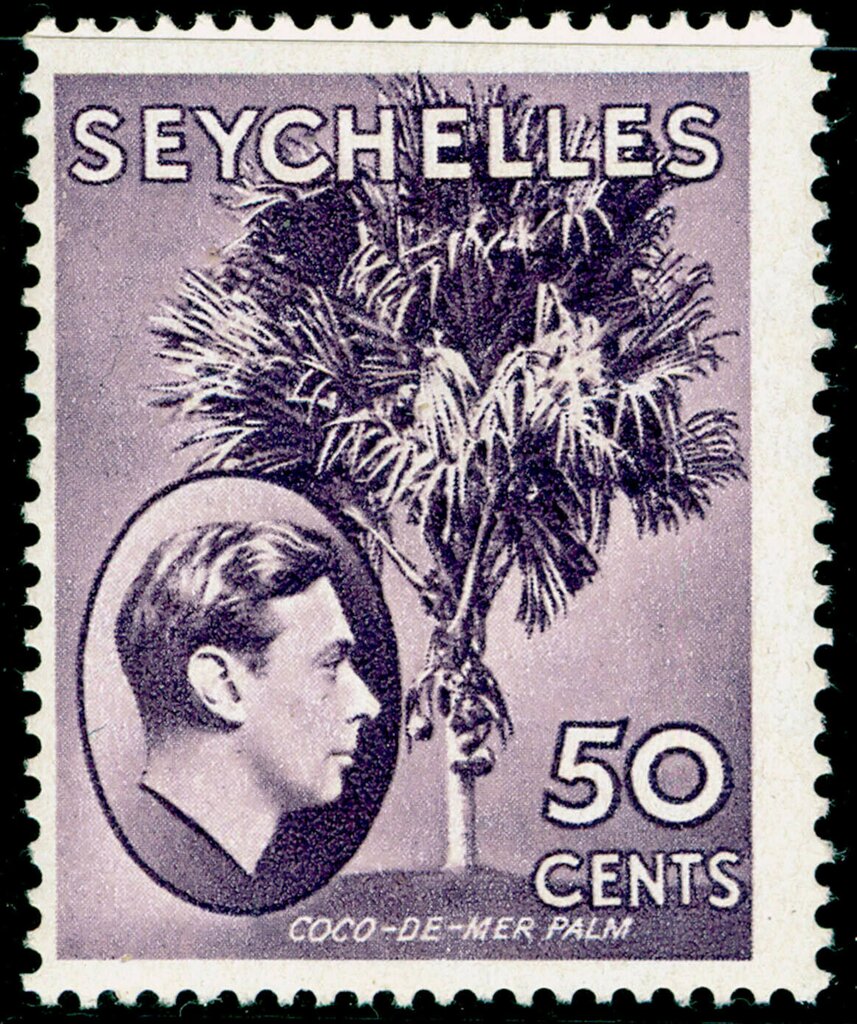 Coco de Mer Palm
