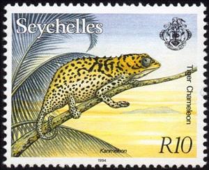 Stamp, Tiger chameleon (Archaius tigris), Seychelles,  , Animals (Fauna), Chameleons, Lizards, Reptiles