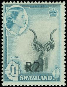 Stamp, Greater Kudu (Tragelaphus strepsiceros), Swaziland,  