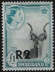 Greater Kudu (Tragelaphus strepsiceros) Surcharged