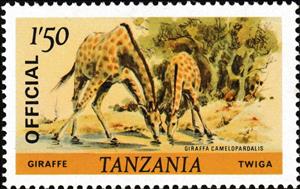 Stamp, Giraffe (Giraffa camelopardalis), Tanzania,  , Animals (Fauna), Giraffes, Mammals