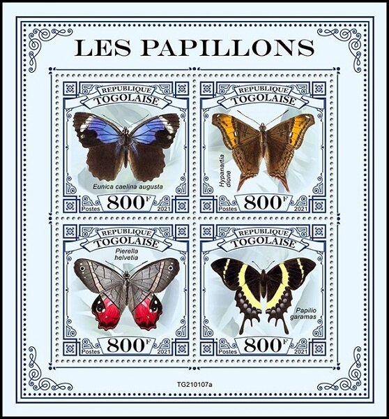 Various Butterflies