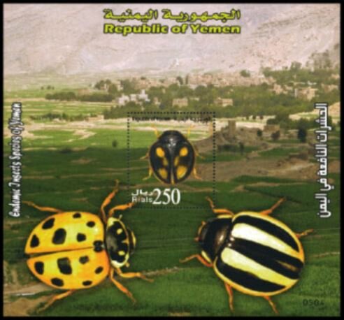 Pharoscymnus c-luteus