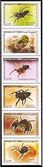 Spiders