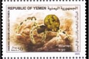 Stamp, Tidarren argo, Yemen,  , Animals (Fauna), Spiders