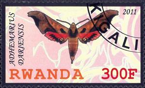 Stamp, Adhemarius Dariensis, Cinderellas,  , Animals (Fauna), Butterflies, Insects