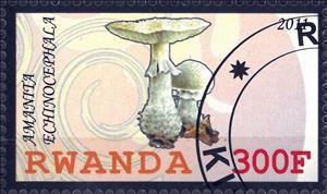 Stamp, Amanita Echinocephala, Cinderellas,  , Mushrooms