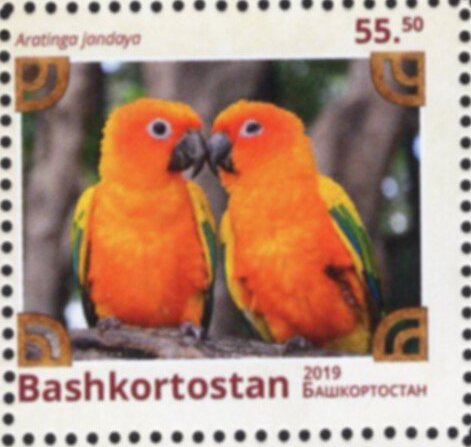 Birds