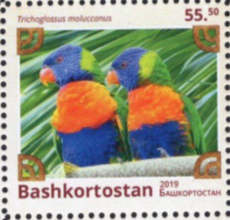 Birds