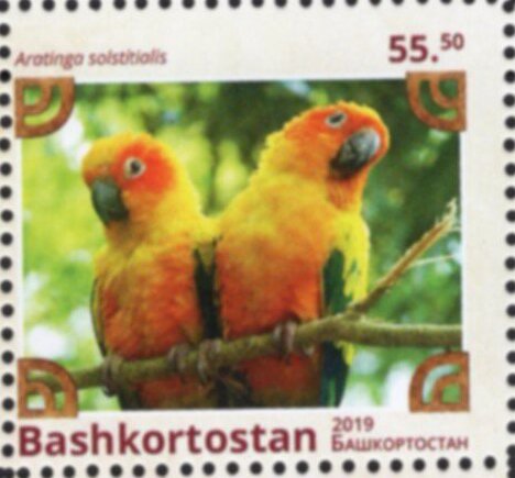 Birds