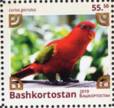 Birds