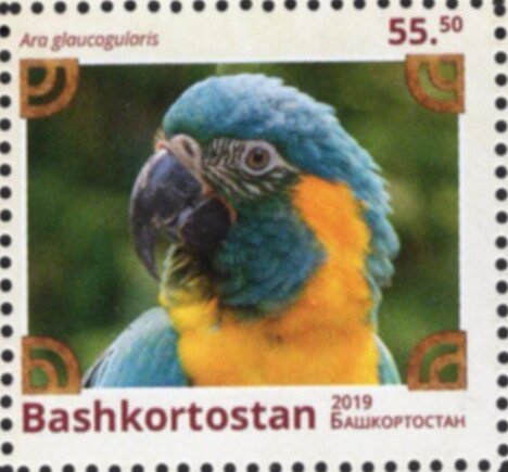Birds