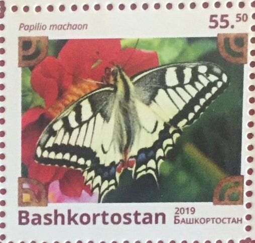 Butterflies