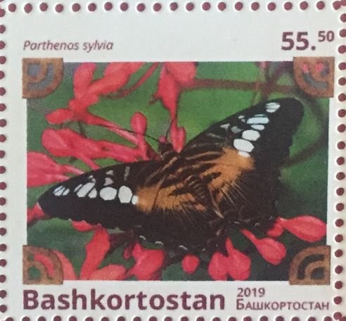 Butterflies