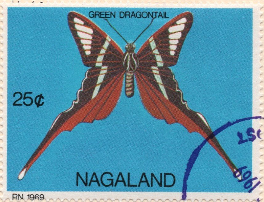 Butterflies - Green Dragontail