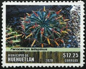 Stamp, Cactus, Cinderellas,  , Flowers