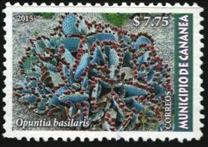 Stamp, Cactus, Cinderellas,  , Flowers