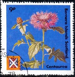 Stamp, Flower, Cinderellas,  , Flowers