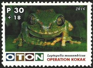 Stamp, Frogs, Cinderellas,  , Frogs