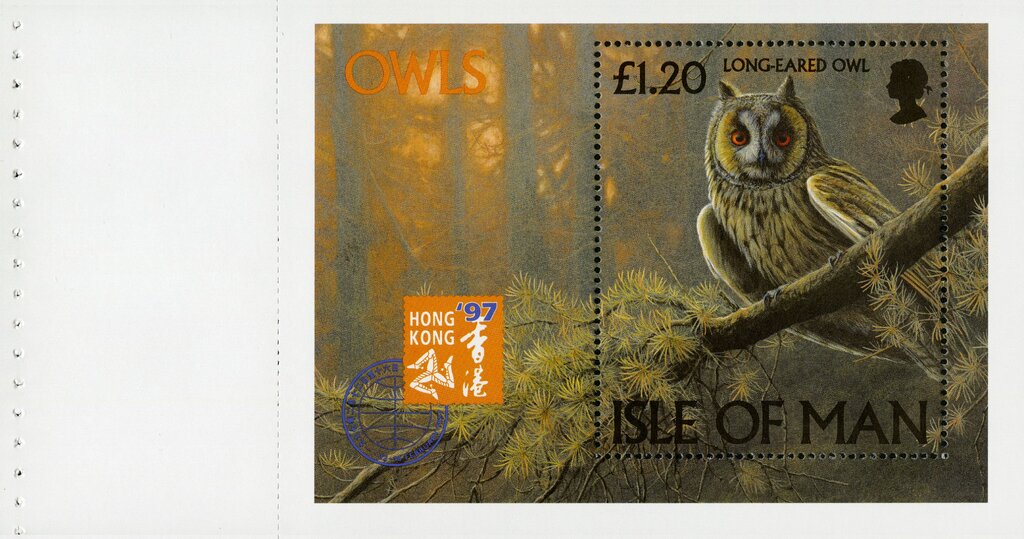 Long-eared Owl (Asio otus) (booklet pane)