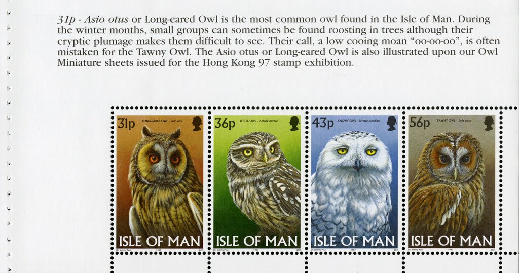 Long-eared Owl, Little Owl, Snowy Owl, Tawny Owl (bklt pane)