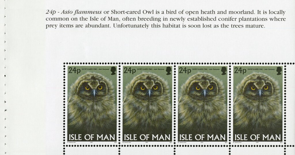 Short-eared Owl (Asio flammeus) (booklet pane)