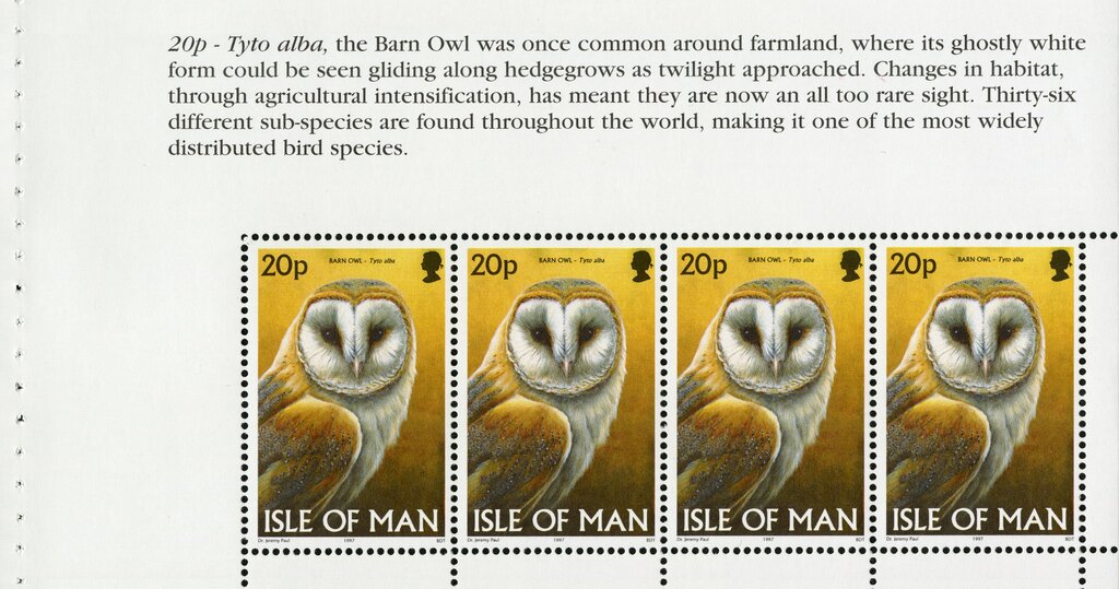 Western Barn Owl (Tyto alba) (booklet pane)