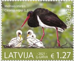 Stamp, Black Stork (Ciconia nigra), Latvia,  , Animals (Fauna), Birds, C.E.P.T. / Europe, Storks