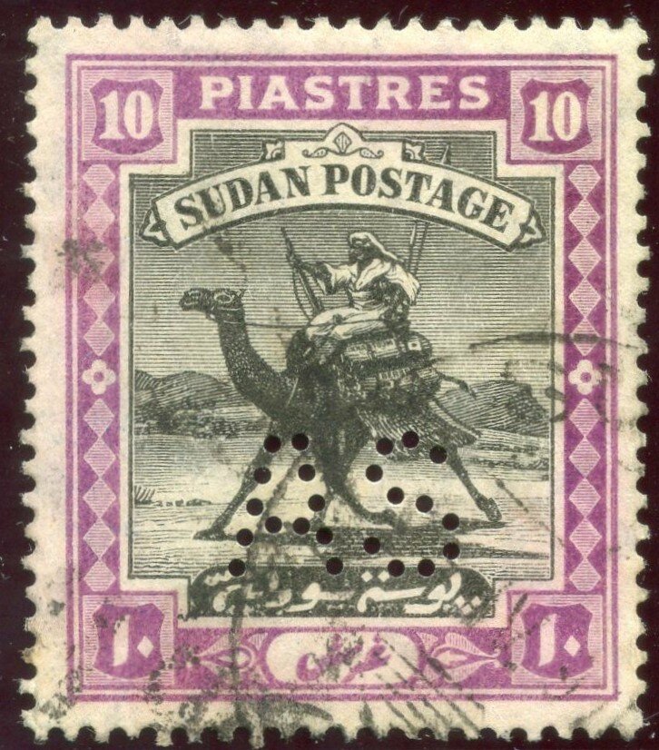 Postman with Dromedary (Camelus dromedarius)