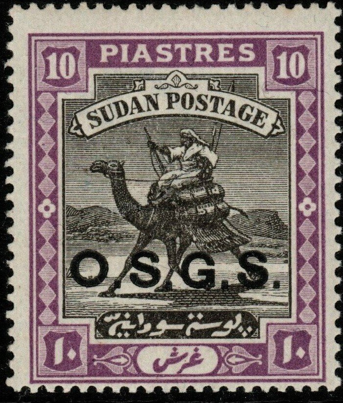 Postman with Dromedary (Camelus dromedarius)