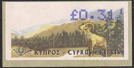 Cyprus Mouflon (Ovis musimon orientalis)