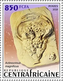 Stamp, Actinocrinus magnificus, Central African Republic,  , Fossils