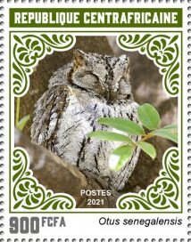 African Scops Owl (Otus senegalensis)