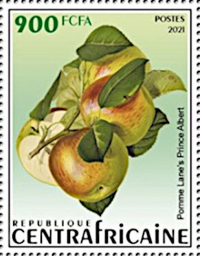 Apple