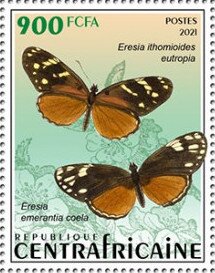 Eresia ithomioides eutropia / Eresia emerantia coela
