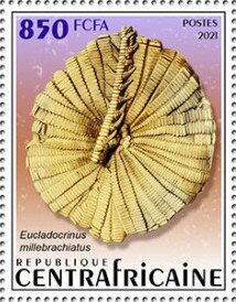 Eucladocrinus millebrachiatus