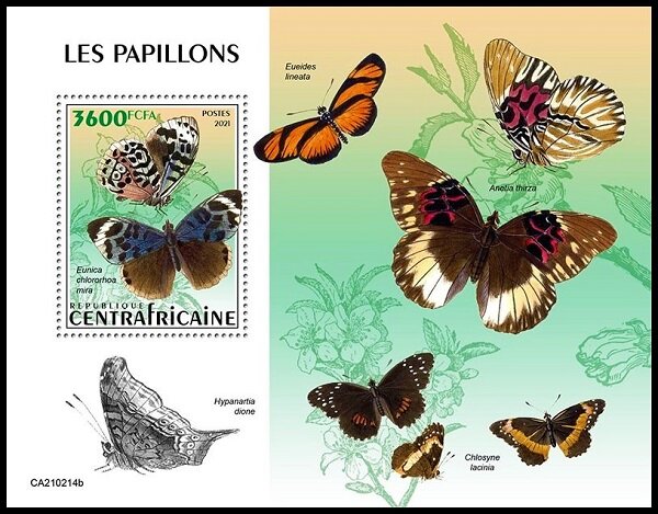 Eunica chlororhoa mira