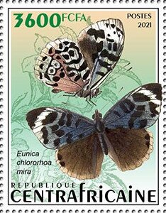 Eunica chlororhoa mira