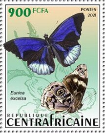 Eunica excelsa